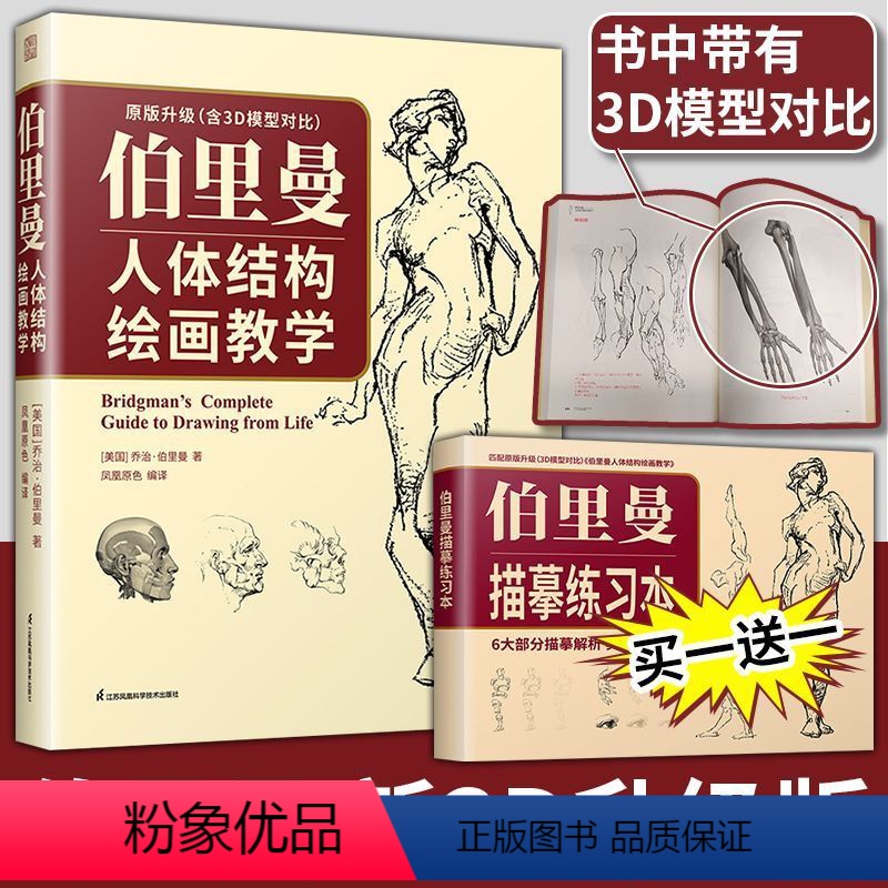 [正版]伯里曼人体结构绘画教学 人物素描速写入门基础临摹书美学大师人物手绘基础速写临摹书速写结构构造解剖中国美术学院
