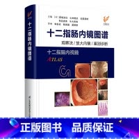 [正版]十二指肠内镜图谱 江苏凤凰科学技术出版社 作者: 主编:[日]藤城光弘,山本赖正,远藤昌树,角岛直美,牛久哲男