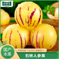 [苏鲜生]云南特产 石林人参果 精选 净重9斤 大果 单果70-90g 熟果 香甜可口 新鲜应季水果