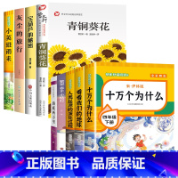 [全9册]青铜葵花+宝葫芦的秘密+小英雄雨来+灰尘的旅行+四年级下册快乐读书吧 [正版]青铜葵花曹文轩 四年级阅读课外书