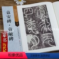 [正版]古代经典碑帖善本 袁安碑袁敞碑 毛笔软笔篆书碑帖书法练字帖 附旁注 局部原寸图 刘天琪主编 浩瀚文化 袁安碑中