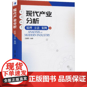 现代产业分析 原理 方法 案例王建军 著WX