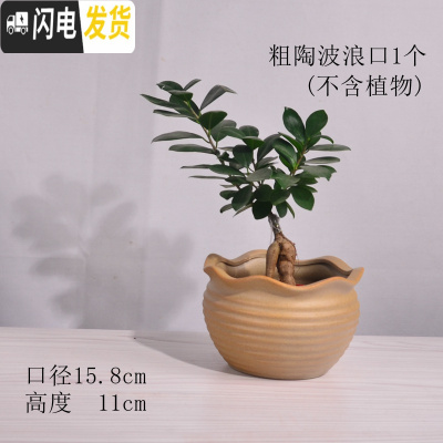 三维工匠陶瓷花盆多肉绿萝吊兰盆栽 家用阳台室内创意 粗陶波浪口1个 中等花盆容器