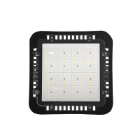 圣恩天泽 LED站台雨棚灯 TSYJ 50W 个