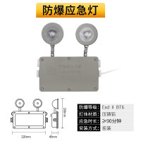 防爆双头照明灯LED安全出口防爆消防应急灯疏散标志二合一指示 防爆双头应急灯