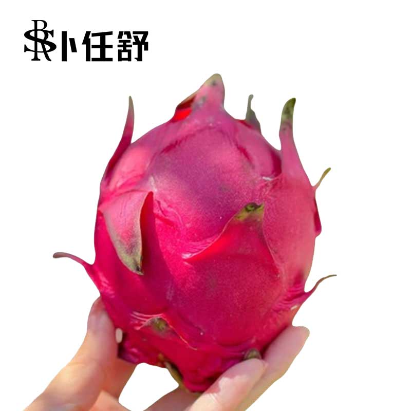 卜任舒 进口红心火龙果约2.5kg(包装随机发货)