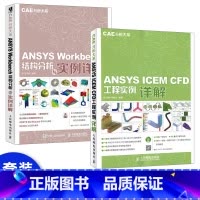 [正版]套装2本CAE分析大系 ANSYS ICEM CFD工程实例详解 ansys cfd工程应用基础教程书籍 ans
