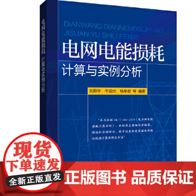 电网电能损耗计算与实例分析 中国电力出版社 正版书籍