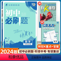 数学 北师版 九年级上 [正版]2024新版初中九年级上册数学北师版BS初三中考9年级练习册题库试卷教辅辅导资料同步训练