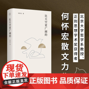 比天空更广阔的 何怀宏 著 散文