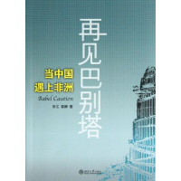 音像再见巴别塔常江 袁卿