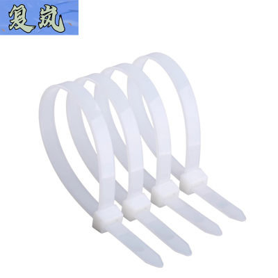 复岚 自锁式扎带 5*250mm/包