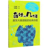 [N]奇妙的几何(激发大脑潜能的经典命题)-9787122355751