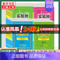 数学[北师大版] 六年级下 [正版]2024秋 实验班提优训练 一年级上下册二三四五六年级下册语文人教版数学苏教版英语译