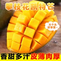 [西沛生鲜]精选攀枝花凯特芒 净重3斤 大果 单果600g左右 当季新鲜 热带水果 坏果包赔