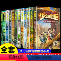 [全套12册]少年冒险王 1+2+3季 [正版]全套12册少年冒险王彭绪洛探险小说适合小学生三四年级至五六阅读课外书必读