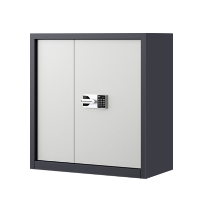 铭威盾指纹电子保密柜钢制密码文件柜档案柜矮柜保密资料柜办公柜 单节灰白:国保锁