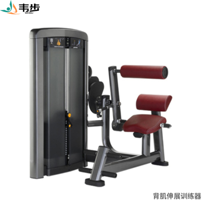韦步LS519商用坐式背部伸展后压背肌练习肌肉专项训练局部型力量器械