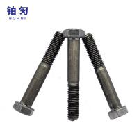 铂灳 六角头螺栓-C级 M12*70 个