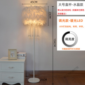 苏宁放心购 灯饰网红白色羽毛水晶立式落地灯客厅书房卧室床头台灯主播补光灯
