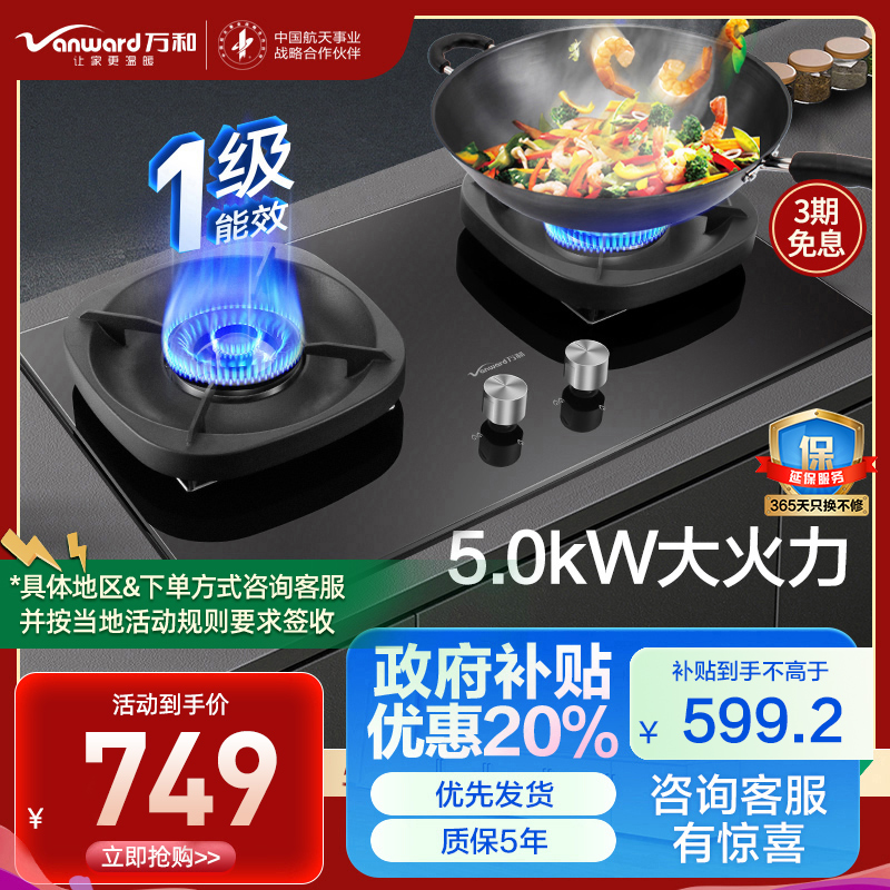 万和(Vanward) 超一级能效天然气双灶 双眼燃气灶 单灶具 5.2KW火力钢化玻璃 可调底座G6L50