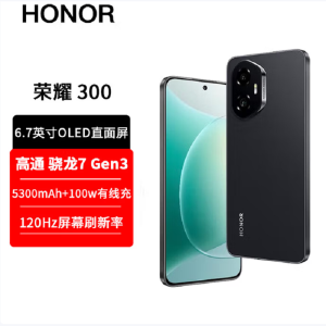 荣耀300 墨岩黑 16GB+512GB 第三代骁龙7芯 5G 5300毫安青海湖电池 100W快充 拍照手机