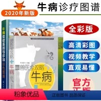 [正版] 两本套牛病类症鉴别与诊治彩色图谱+兽医全攻略牛病养牛技术书籍养牛书籍大全技术牛病治疗全书兽医书籍大全肉牛养殖