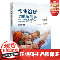 作业治疗功能解剖学 基于作业治疗为的肌肉骨骼功能解剖学 运动康复 北京科学技术