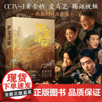 护宝寻踪 同名考古与文物保护题材电视剧央视黄金档爱奇艺腾讯视频燃情播出 白宇帆辛柏青王鹤润富大龙尤勇智 影视小说原著