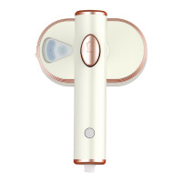 春花 CTQ-509Y 家用平烫挂烫二合一手持电熨斗