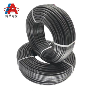 辉昂 阻燃屏蔽线 ZRRVSP-4*6平方 盘