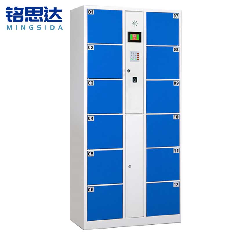 铭思达智能存包柜12门指纹锁台