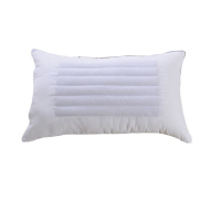 扬正通 荞麦丝绒枕头 YZT-QMZ 个