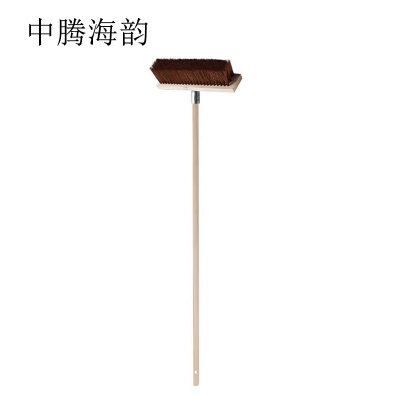 中腾海韵 棕毛地刷 60cm 个
