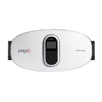 攀高智能甩脂机腰带揉腹仪瘦肚腩减腹部小肚子按摩器懒人燃脂震动 腰部按摩仪Waist8艾灸款