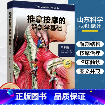[正版]附视频 推拿按摩的解剖学基础 第六版 第6版 丁自海 张露清 人体结构肌肉解刨运动系统局部疗法物理康复治疗师肌