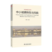 音像中小城镇特色与风貌韩林飞编著