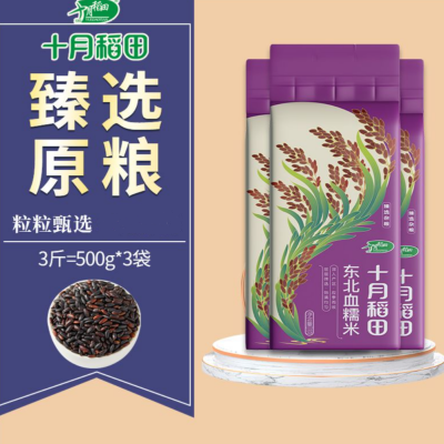 十月稻田 东北血糯米3斤起黑糯米江米紫米杂粮粽子米粘糯