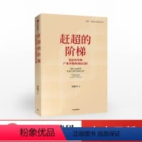 [正版]赶超的阶梯 周建军 著 国家产业 产业转型升级 战略研究 国企改革 出版社