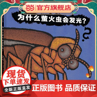 为什么萤火虫会发光?(魔法象·图画书王国)