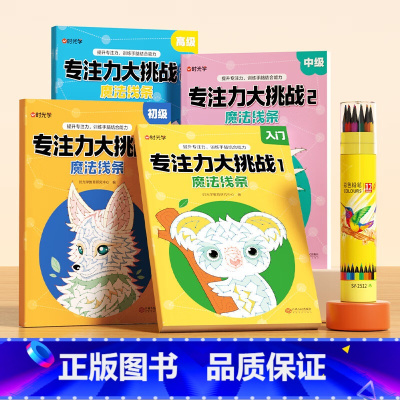 专注力大挑战4本+12色彩铅笔 [正版] 专注力大挑战入门初级中级高级全套4册带铅笔图画书幼儿园宝宝儿童益智游戏专注力大