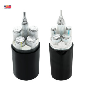 常顺鑫 低压铝芯电缆 ZC-YJLV 4×185+1×95 米