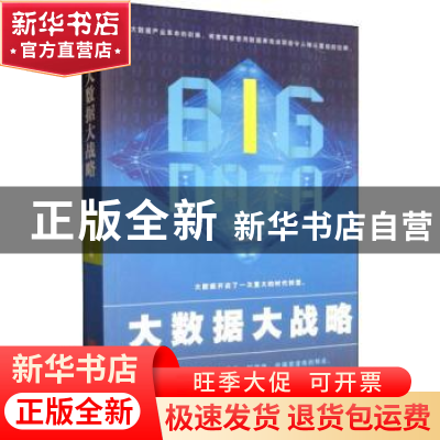 正版 大数据大战略 杜启杰编 中国言实出版社 9787517118503 书籍