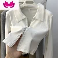 七斓领长袖t恤女纯欲风辣妹设计感小众别致打底内搭上衣
