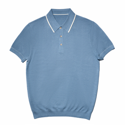 尘界浅蓝色polo衫男士短袖t恤2025新款夏季高级感翻领上衣男款