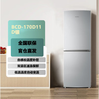 容声 BCD-170D11D银 170升双门冰箱小型迷你二门两门双开门纤巧机身双温区储鲜家用电冰箱 宿舍小户型租房