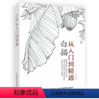 [正版]白描从入门到精通 白描绘制技法基础教程 白描初学者入门 零基础白描自学 白描教学书籍