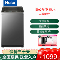 海尔(Haier)波轮洗衣机10公斤大容量 家用全自动洗衣机自编程 除螨 洗漂脱可调 速洗 XQB100-Z606