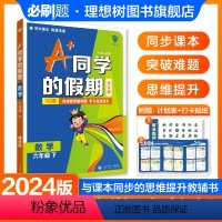 数学 人教版 六年级下 [正版]理想树新品小学必刷题2024新版A+同学的假期 数学六年级下 周末版