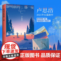 全新正版 黎明前的那一夜 随书附赠一套黎明前夜明信片 青年作家卢思浩新书 2021年长篇新作 湖南文艺出版社 正版新书